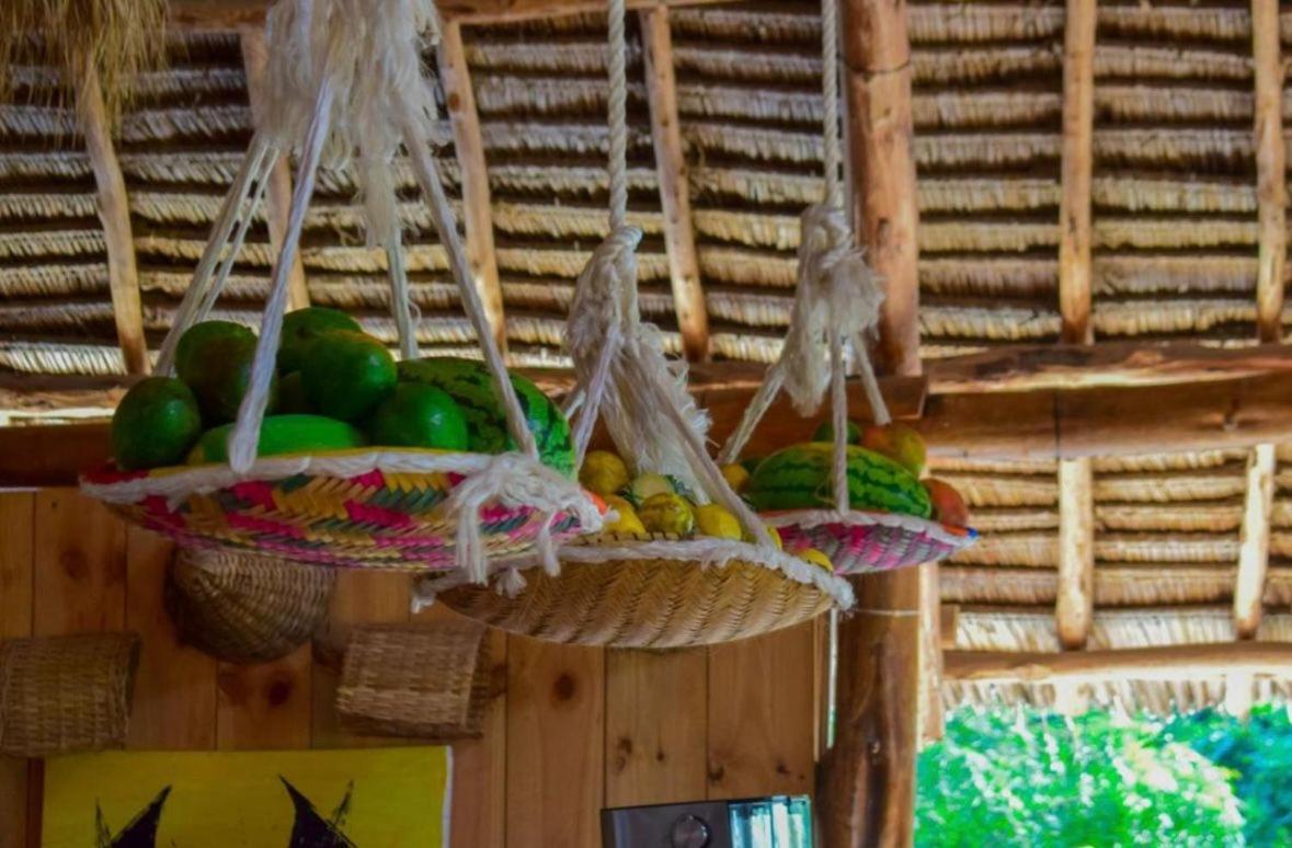 Tolo Tolo Resort Nungwi Extérieur photo